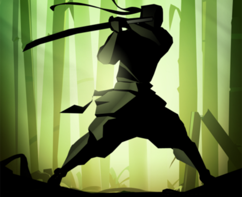 (已解锁无限能量)暗影格斗2