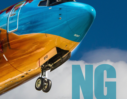 NG Flight Simulator(解锁全内购)