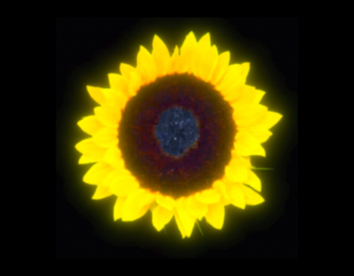 去年夏天迭代 Last Summer Iteration