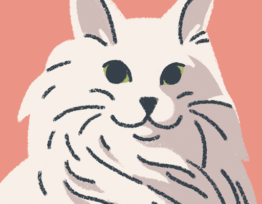 (永久版)往左一点 A Little to the Left(解锁完整版)